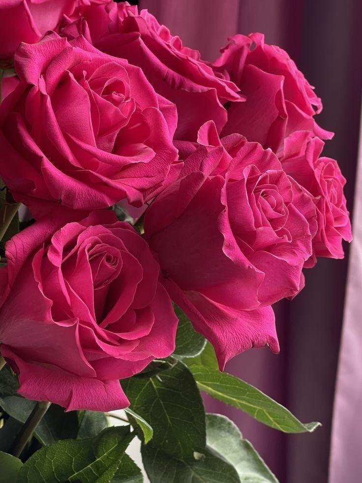 Harmony's Whisper Floral Array